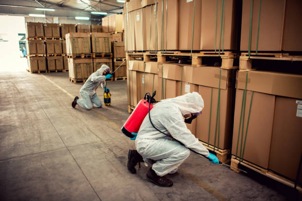 Best Bed Bug Extermination  in Kennett Square, PA